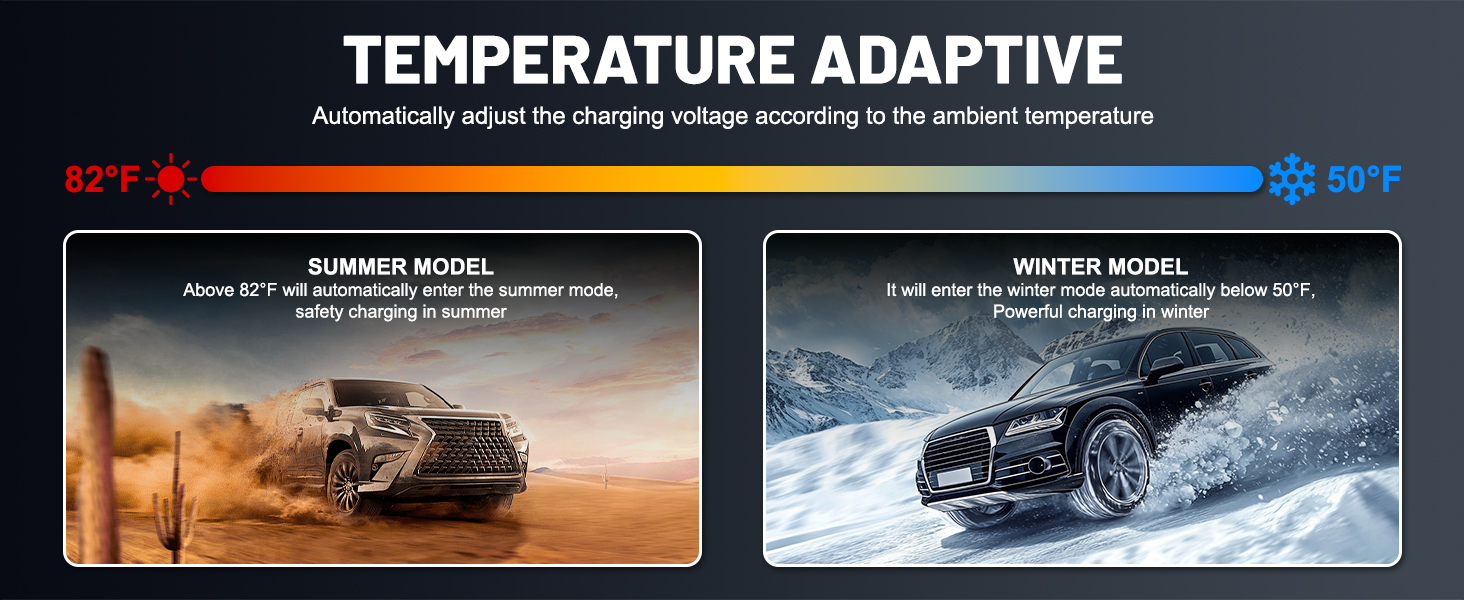 smart charger 12v battery