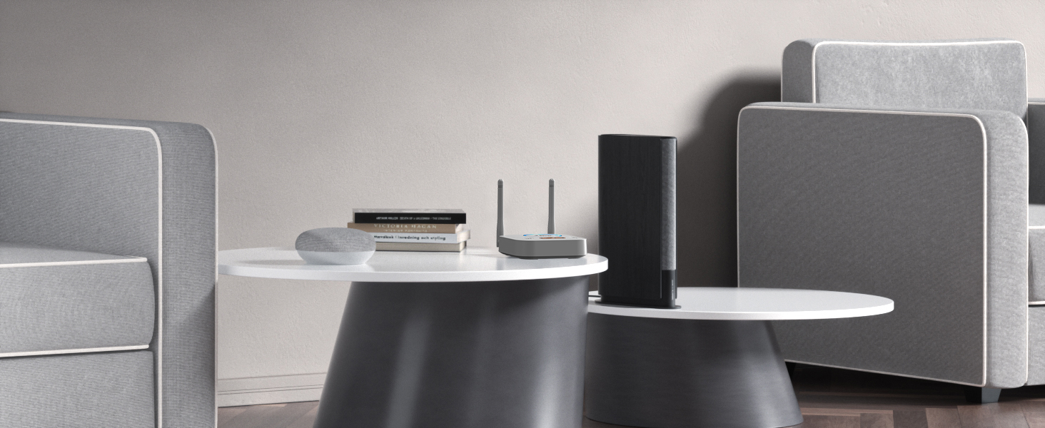 Works with Echo (Alexa)