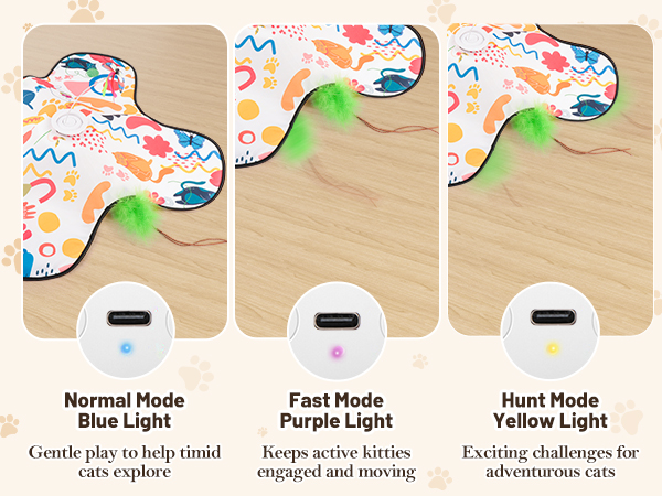 Interactive Cat Toys