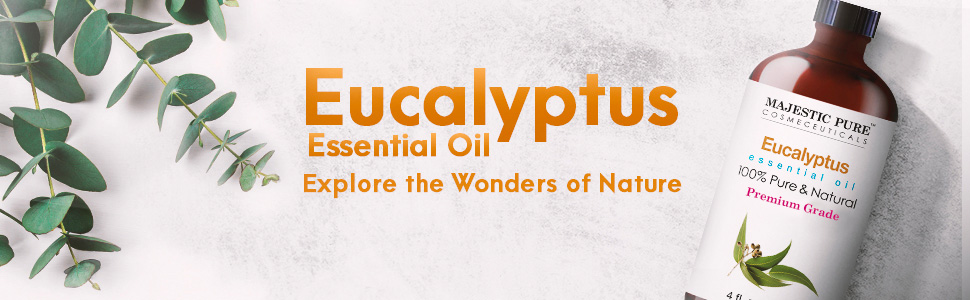 majestic pure eucalyptus essential oil