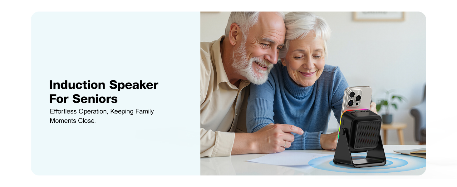 Wireless Induction Speaker