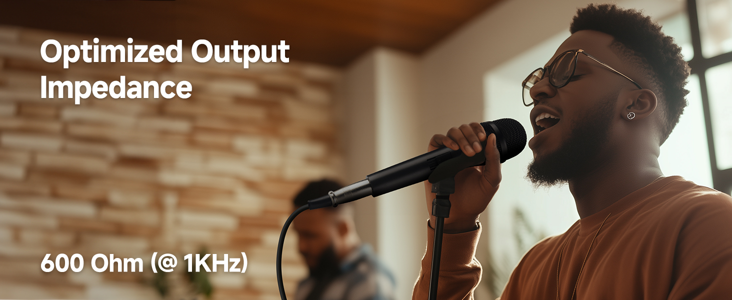 karaoke microphone wired microphone