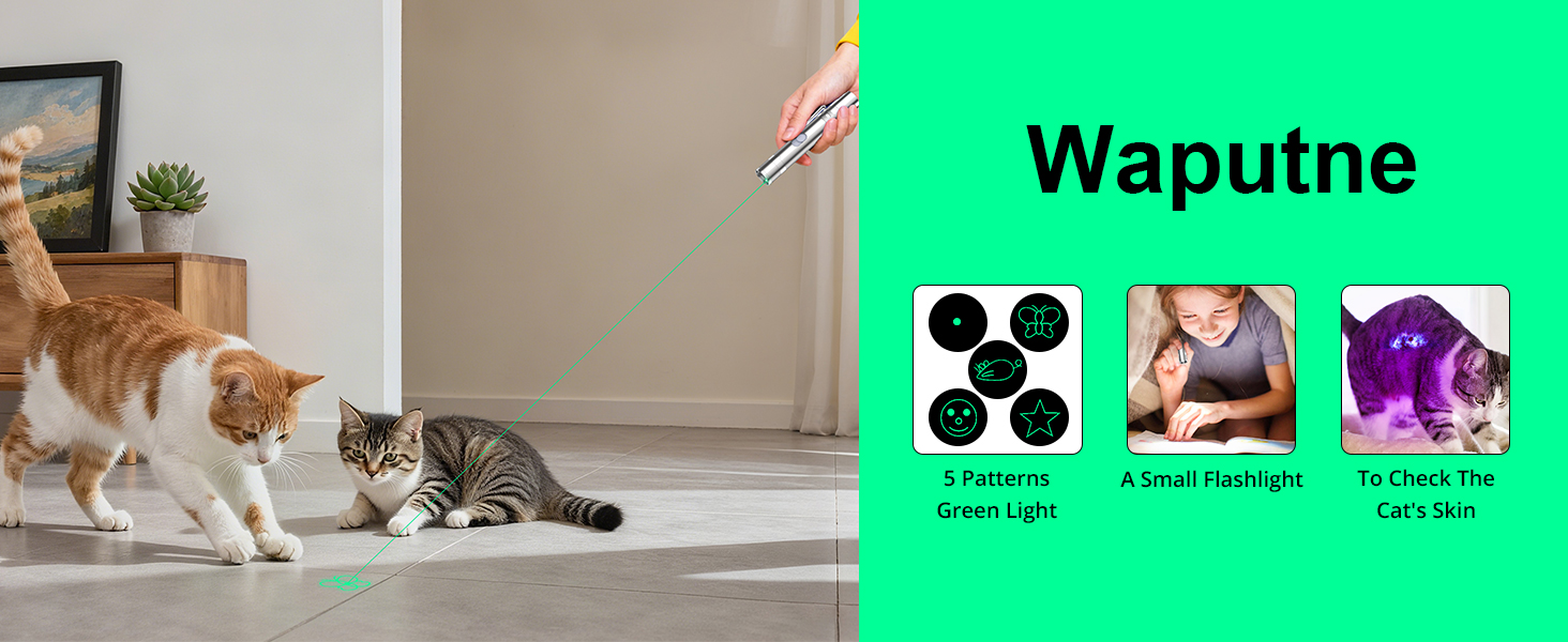 cat toy