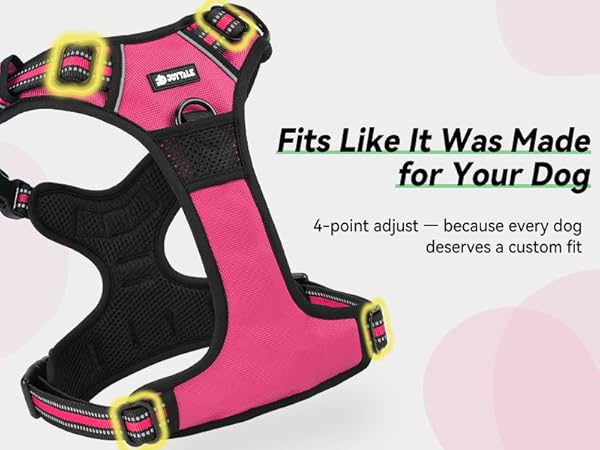 adjustable dog harness