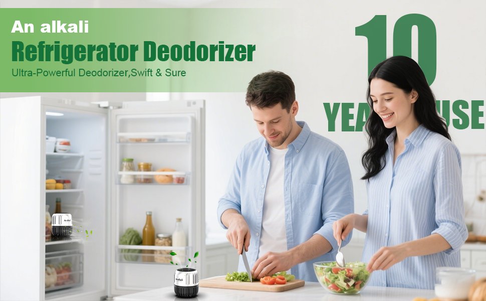 refrigerator deodorizers