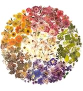 Maxleaf Pressed Flower Stickers Set, 270PCS Dried Flowers Waterproof Stickers Decals Floral Botan...