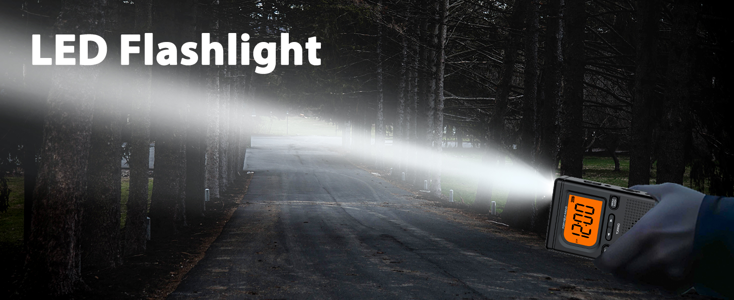 Flashlight radio