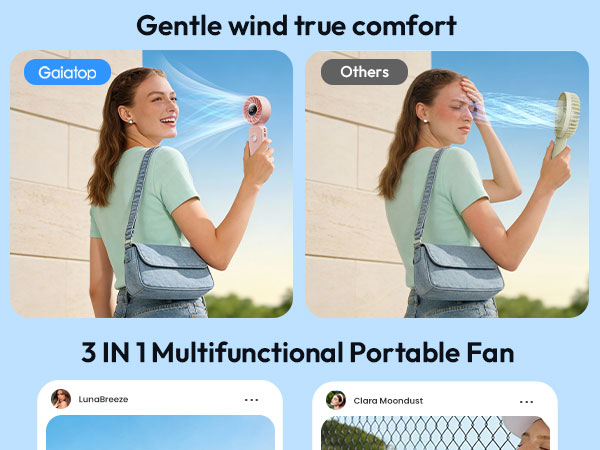 fan