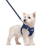 rabbitgoo Dog Harness Small Sized and Leash Set, Step in Soft Light Puppy Vest, Breathable Mesh P...
