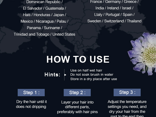 Travel Dual Voltage Hair Dryer Brush 110v~240v