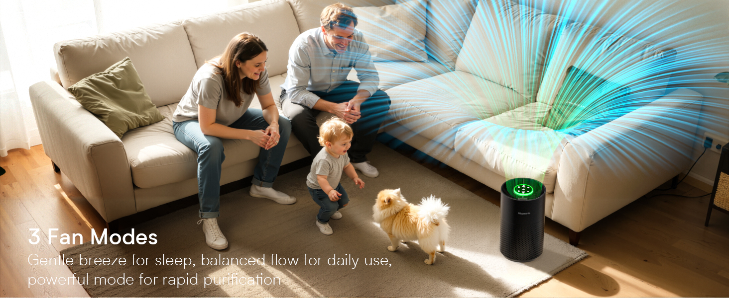 sans air purifiers for home