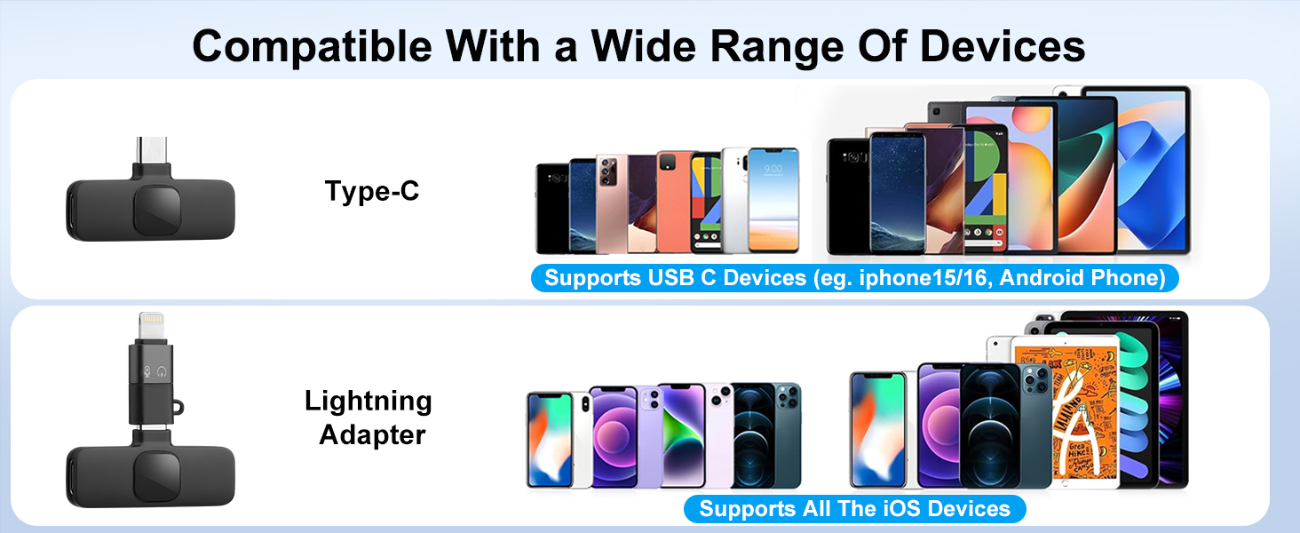 mini mic