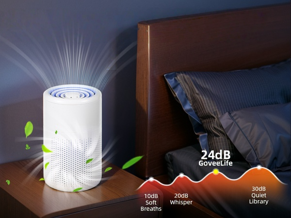 Mini Air Purifier