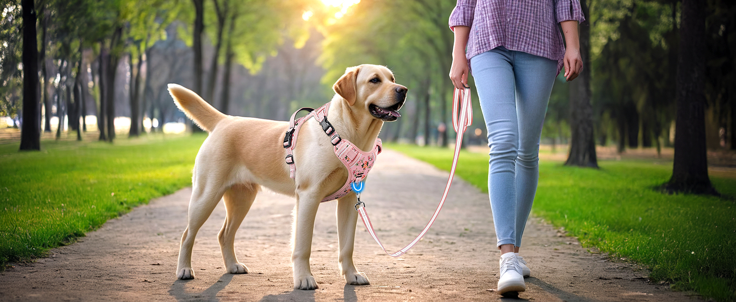 dog harness for large dog