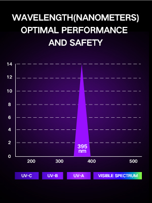 395nm black light flashlight