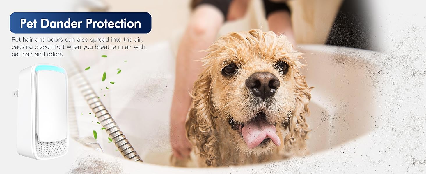 Pet Dander Protection