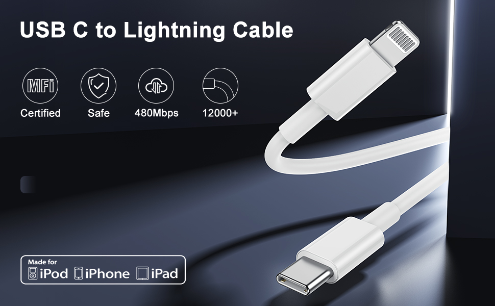 USB C to Lightning Cable