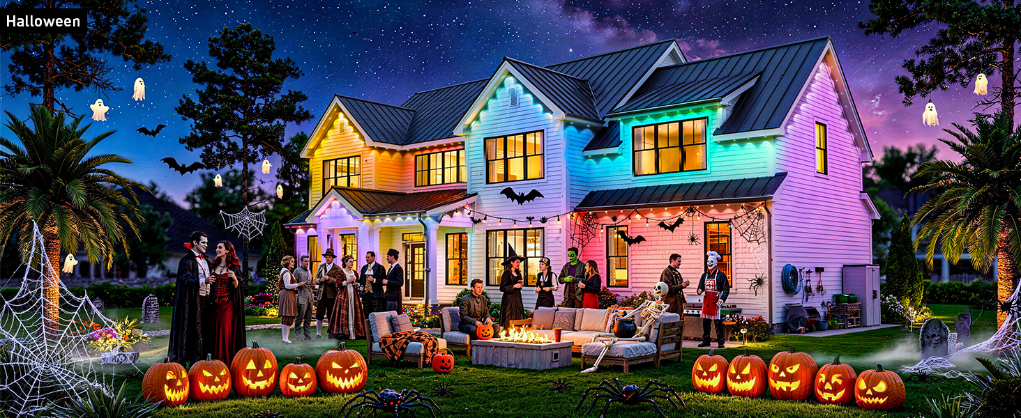 Permanent Outdoor Lights