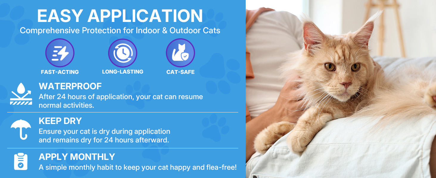 cat flea and tick treatment