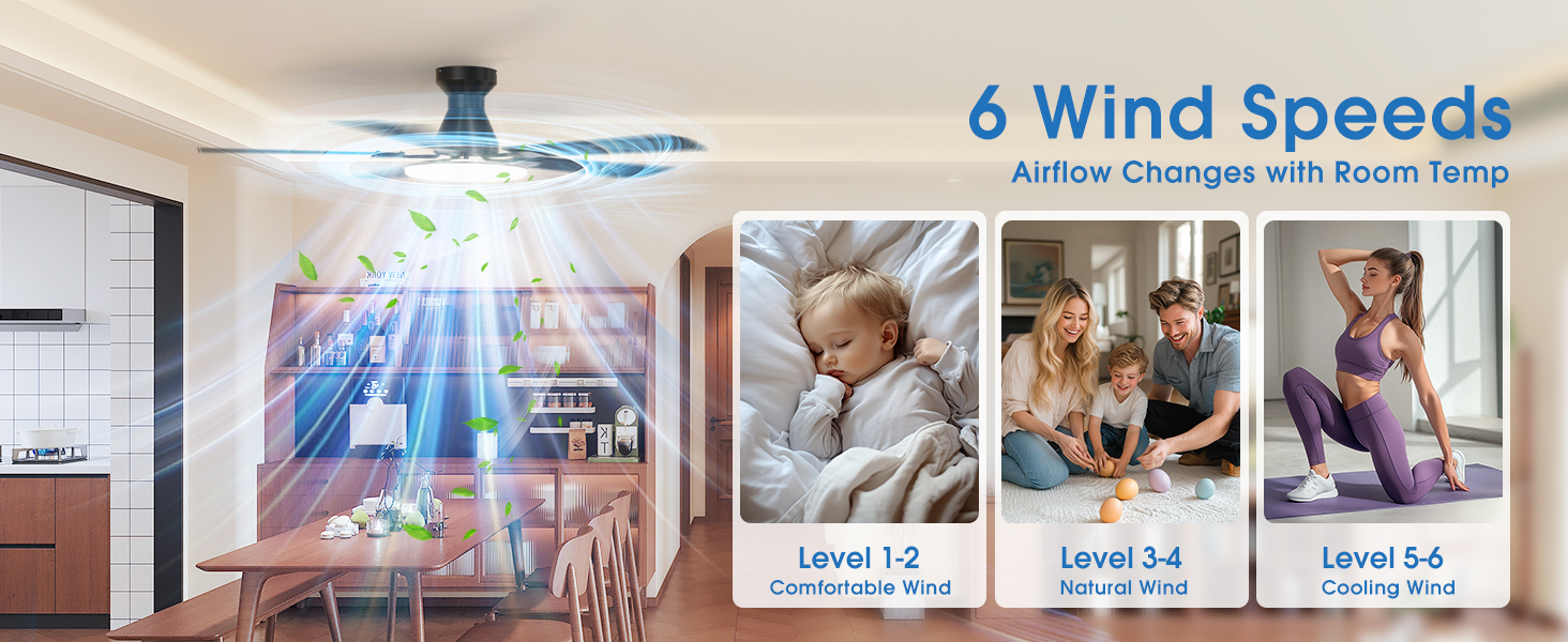 Ceiling fans with 6 speeds