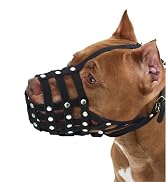leather dog muzzle