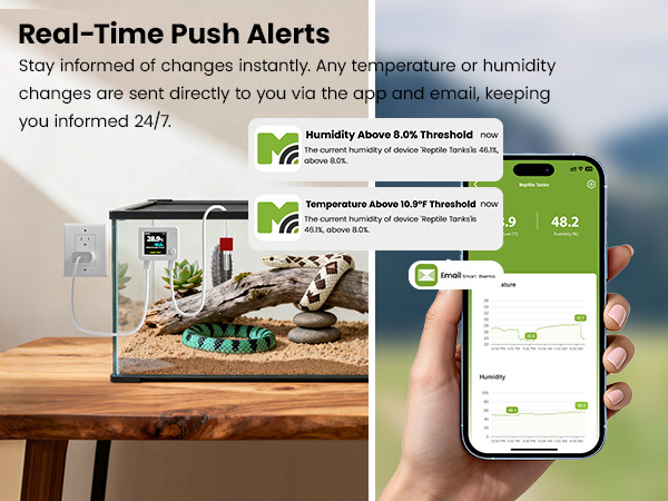 App &amp;amp; Email Alert