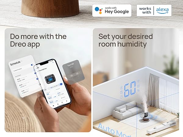 cool mist humidifiers