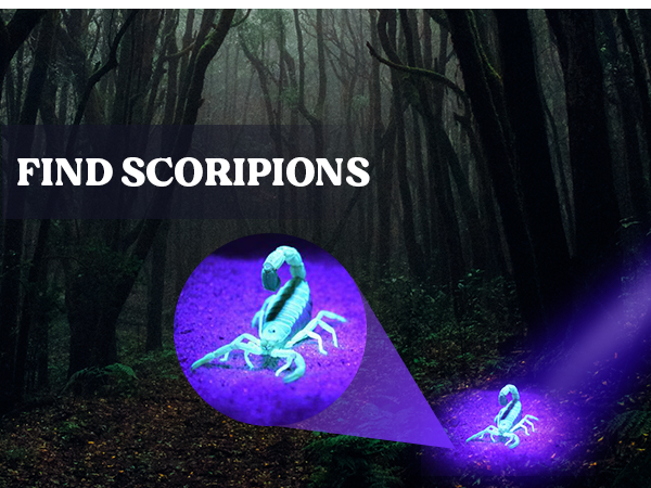 mini flashlight,small flashlight,uv resin kit with light