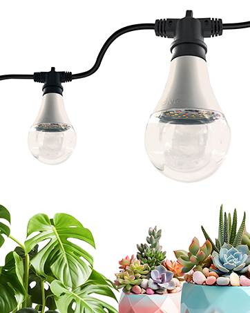 3-6lights grow lights