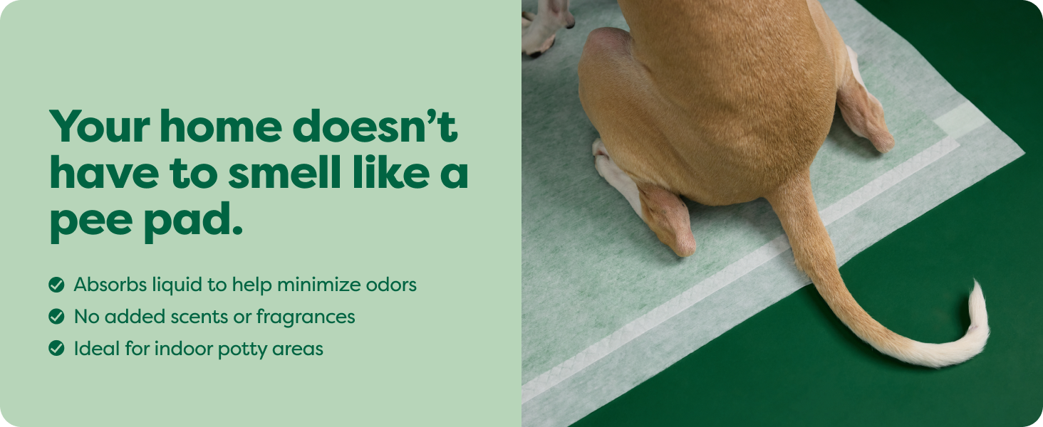 wee wee pads for dogs