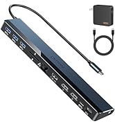 USB C Docking Station Dual Monitor with USB-C 100W Charger, 12-in-1 Laptop Dock with Dual HDMI 4K...