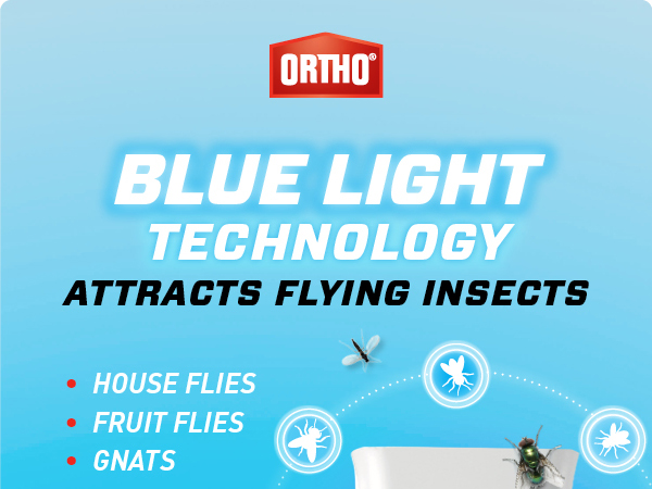 Blue Light Technology