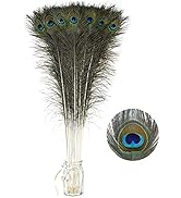 Soarer Long Peacock Feathers Bulk- 25pcs 32-35 inches Feathers for Vase, Holiday Decoration and D...