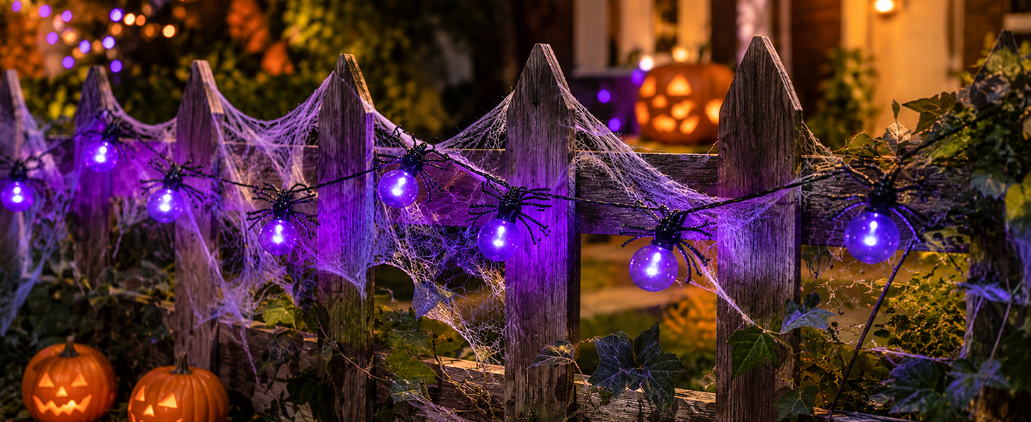 Halloween Spider String Lights