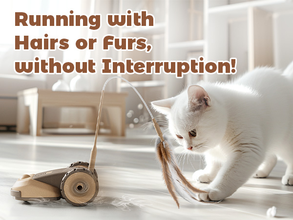 Interactive Cat Toy