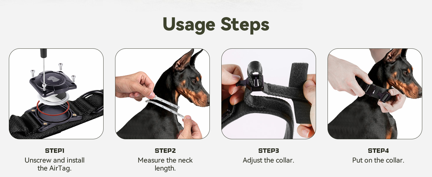 dog collar airtag