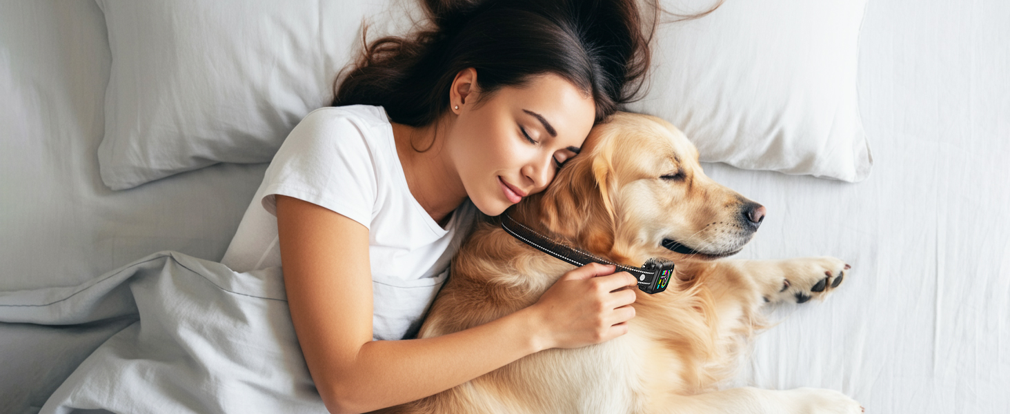 dog bark collar