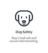 Dog Safety