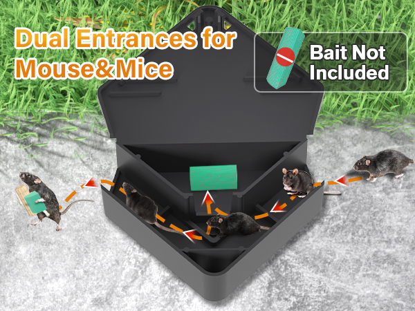 mouse stations mice station mouse box trap mice trap box