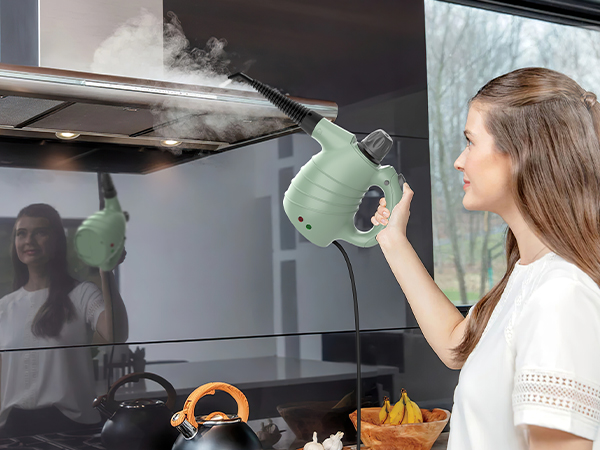 handheld steam cleaner
