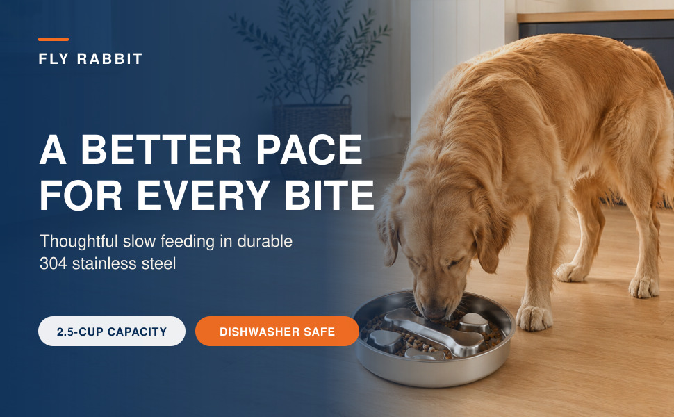 Stainless steel slow feeder dog bowl, anti-gulping dog food bowl for large medium dogs