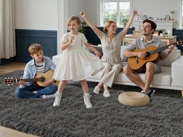 Area Rugs for Living Room Rug