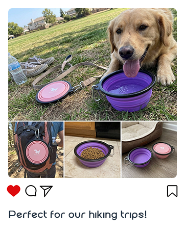 Portable dog Bowl for hike