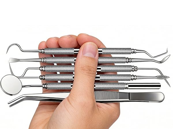 dental tools with case
