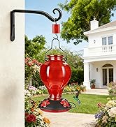 Tegarbed Glass Hummingbird Feeders for Outdoors Hanging