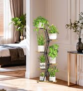 Plant Stand