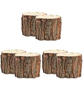 Housoutil 6 Pcs Bark Flower Bucket Indoor Plant Flower Vases for Centerpieces Naturales para Exte...