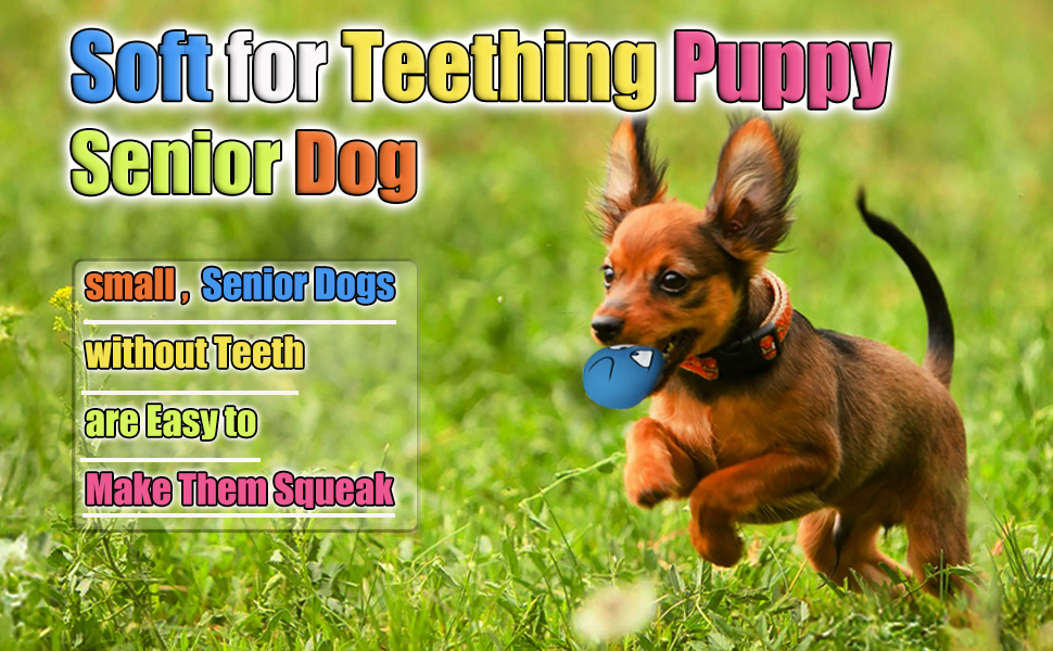 dog toys for senior dogs