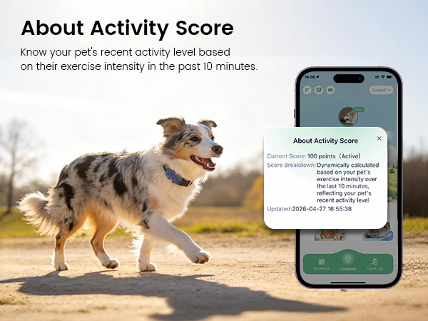 mini dog tracker collar
