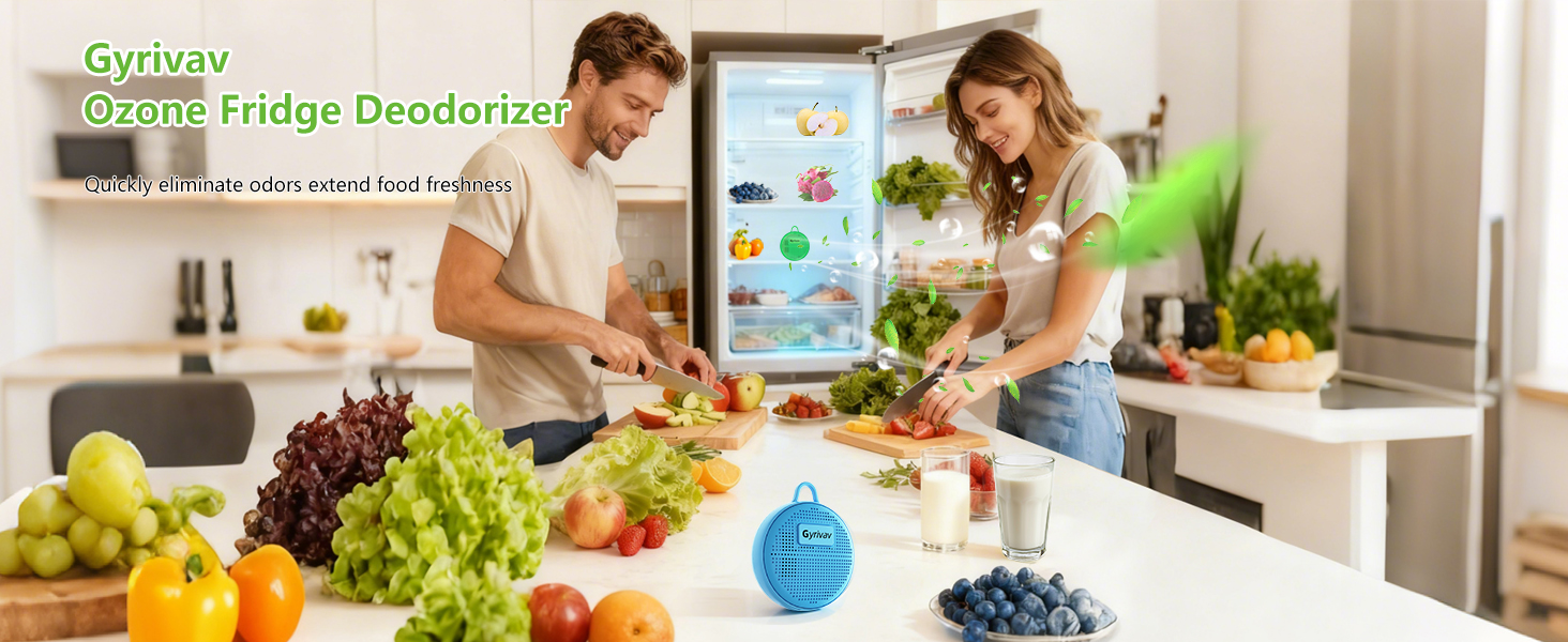 fridge deodorizer